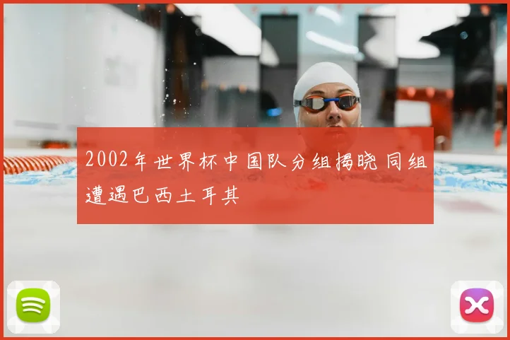 2002年世界杯中国队分组揭晓 同组遭遇巴西土耳其