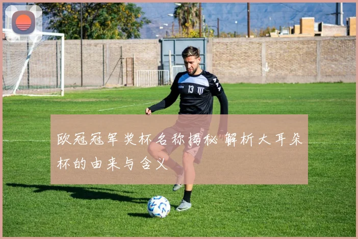 欧冠冠军奖杯名称揭秘 解析大耳朵杯的由来与含义