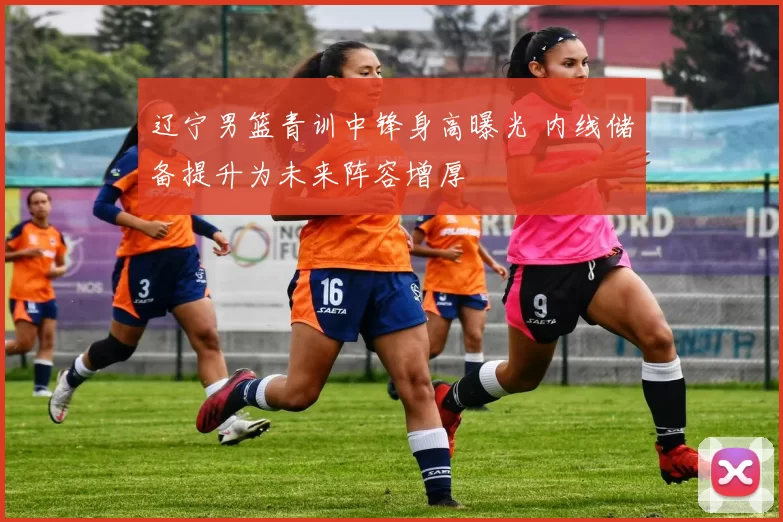 辽宁男篮青训中锋身高曝光 内线储备提升为未来阵容增厚