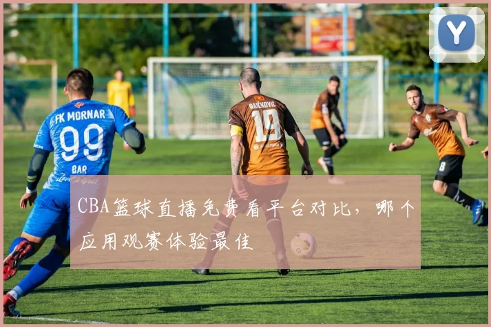 CBA篮球直播免费看平台对比，哪个应用观赛体验最佳